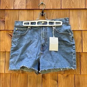 Everlane Denim Shorts